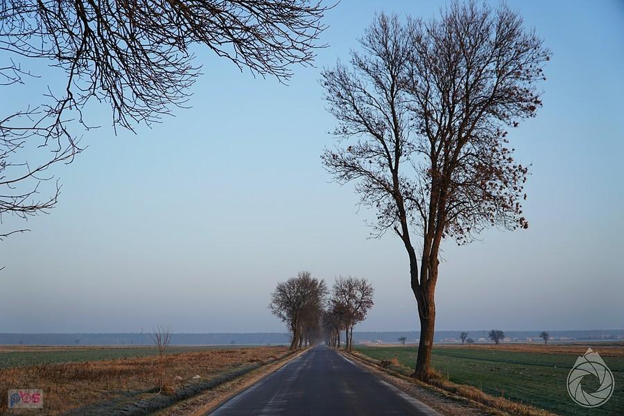 za doliną Wolbórki