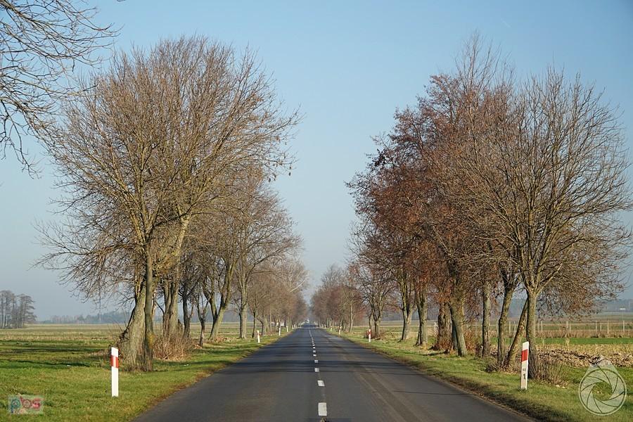 naprawdę fajne proste na Skierniewice