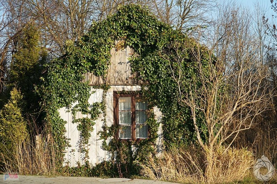 zabluszczony domek, gdzieś za Bolimowem