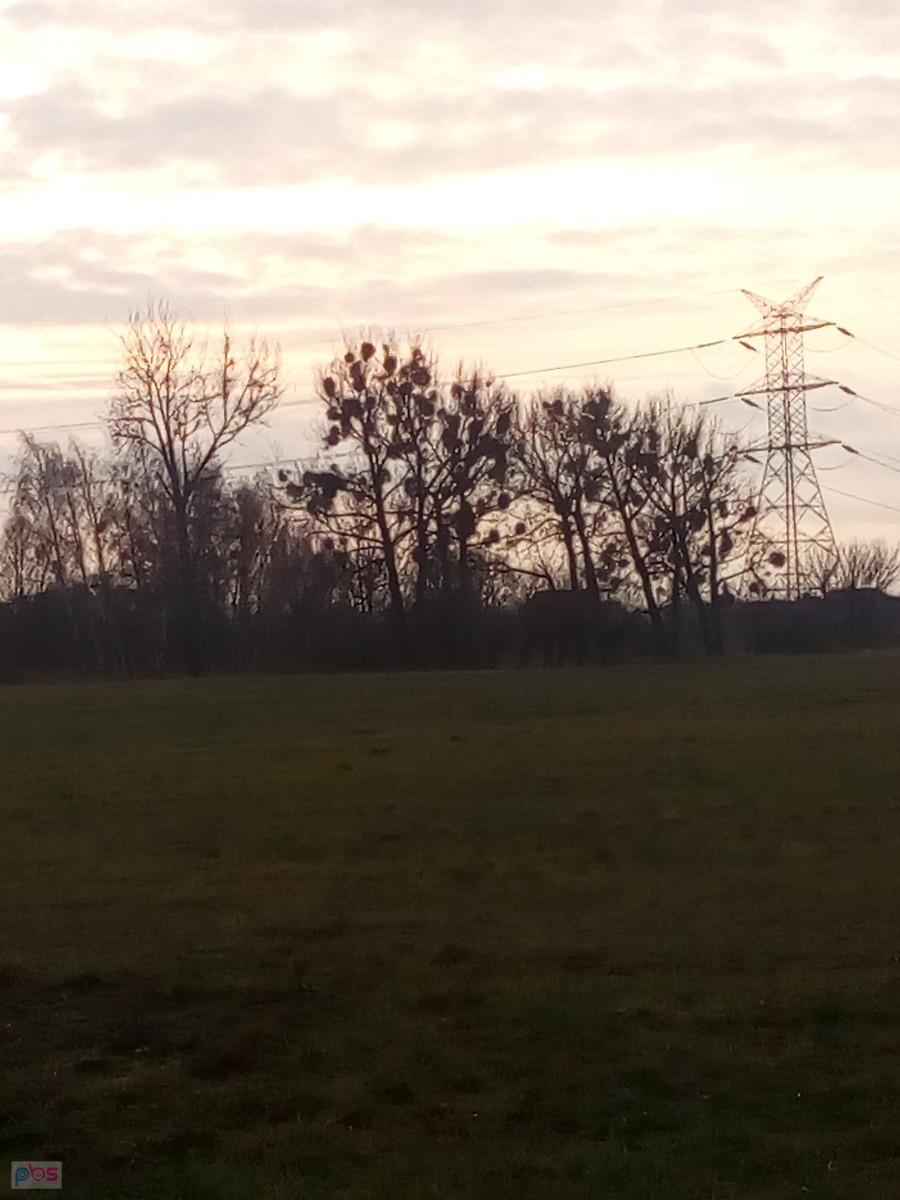 Słońce usiłuje przedrzeć się przez chmury