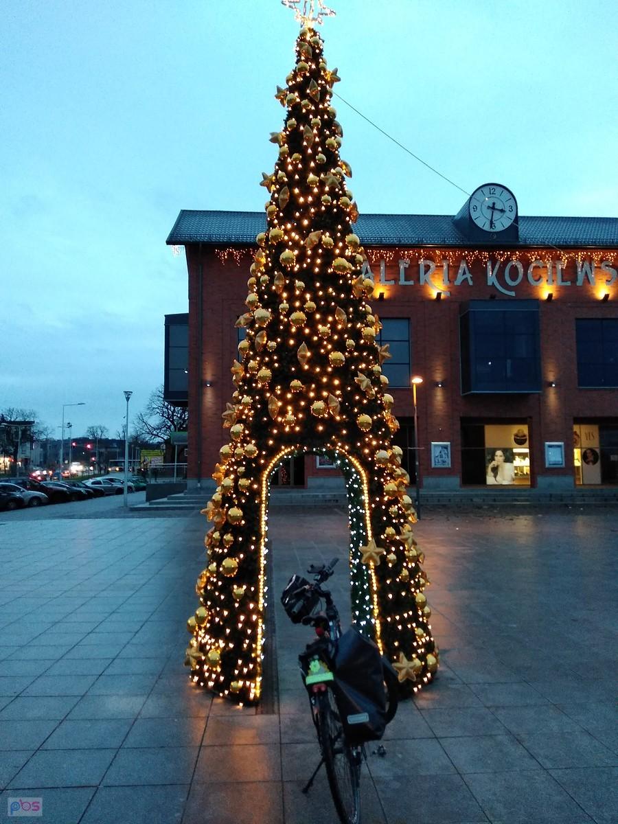 Świąteczna choinka iluminowana w Tczewie