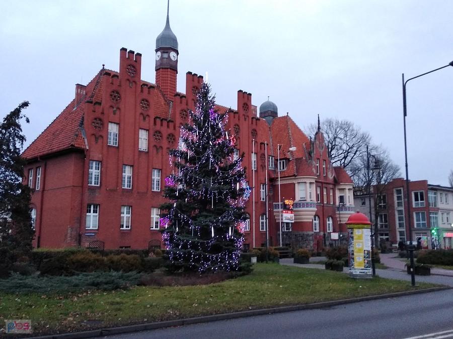 Świąteczne drzewko przed zabytkowym budynkiem w Tczewie