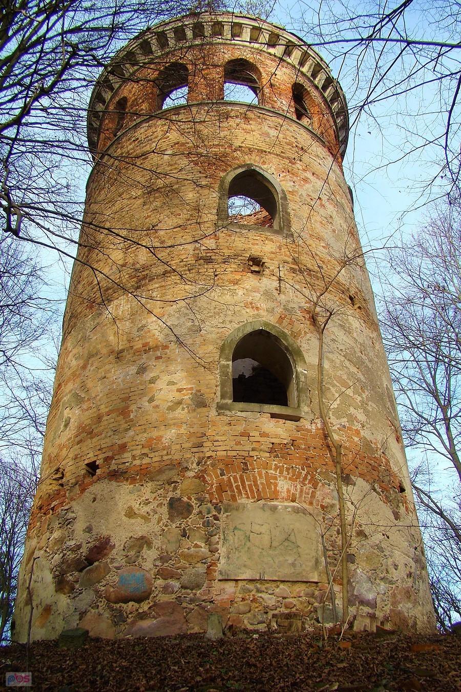 Obserwacyjna Wieża Fryderyka w lesie w pobliżu Chocianowa