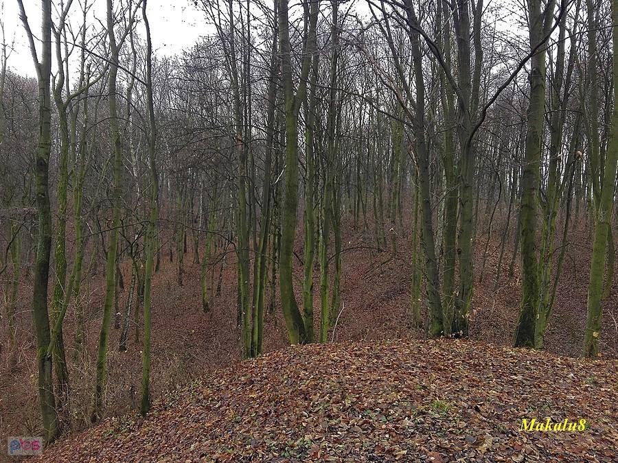 Dawny kamieniołom "Szkała" Radzionków