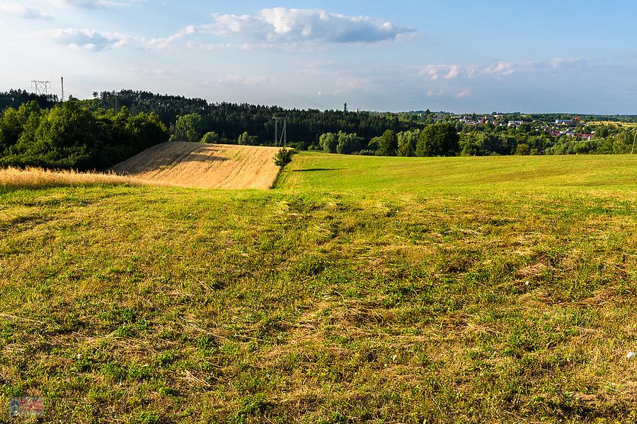 Pola na pograniczu miejscowości Gąszczyk i Siedlec-Podlasie