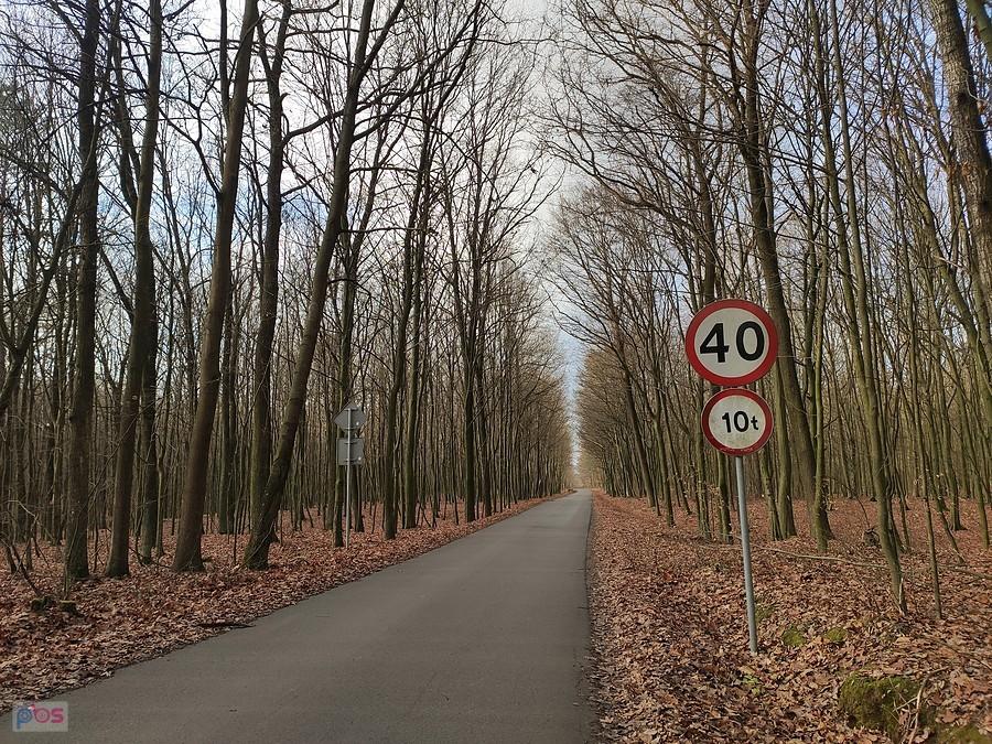 Szkoda, że więcej takich dróżek leśnych u Nas nie ma