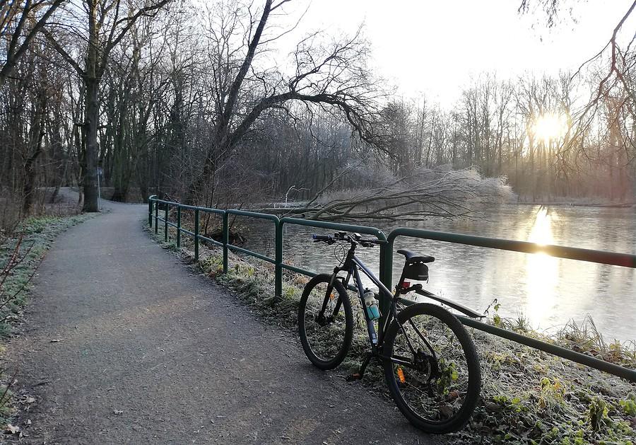 Las Dębiński lekko zmrożony, Poznań