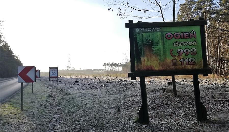 Pożaru to już tu nie będzie przez lat kilkadziesiąt...