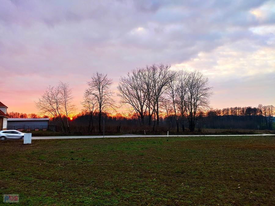 Widok na zachodzące słońce, niestety przez krzaki