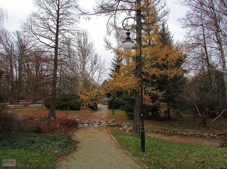Park Ujazdowski