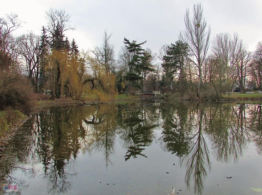 Park Ujazdowski - drzewa przeglądają się w stawie