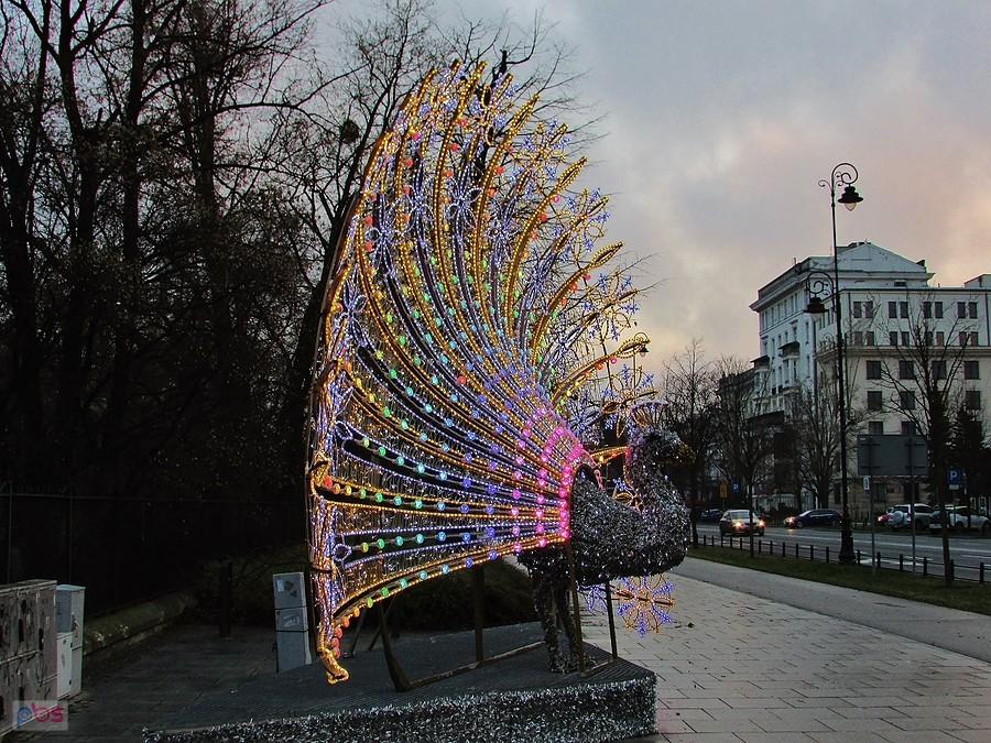 Świąteczny Paw przy Parku Ujazdowskim