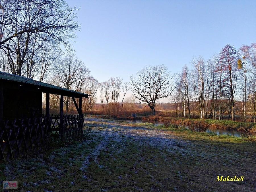 Stawy Szkarotkowe
