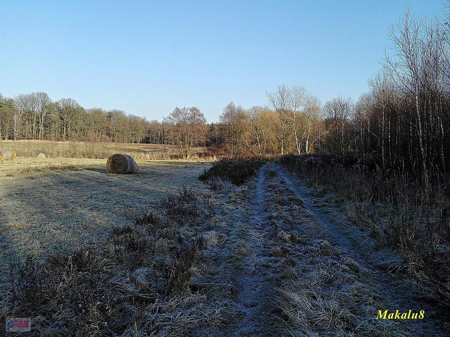 Stawy Szkarotkowe-droga od strony Połomii