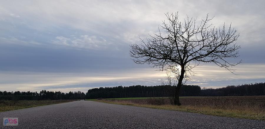 Gdzieś po trasie