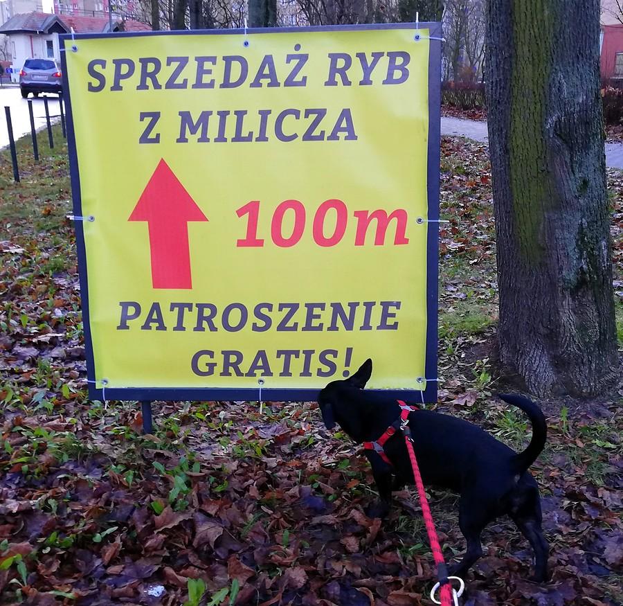 Nie ma to jak sezonowe promocje :/