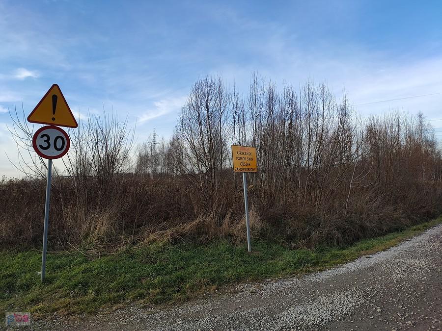 Jak to jechać po takiej drodze powyżej 30 km/h to nie wiem.