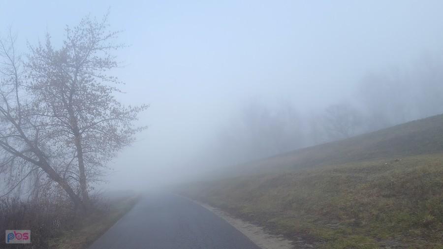 Droga wzdłuż wału wiślanego