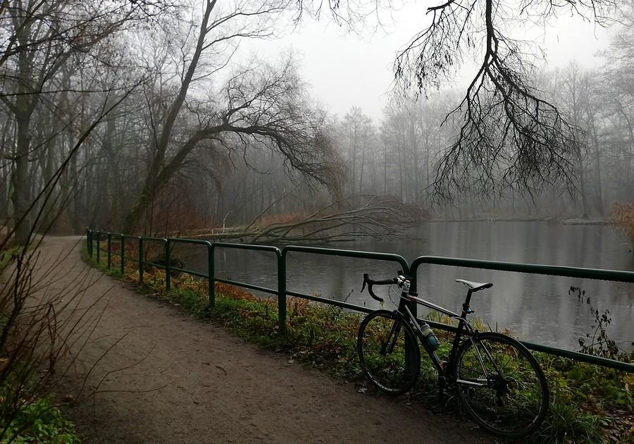 Poznański Las Dębiński
