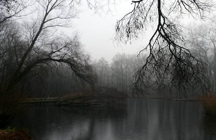 Wciąż klimatycznie