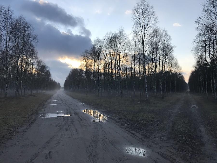 gdzieś między Mężykiem a Miałami