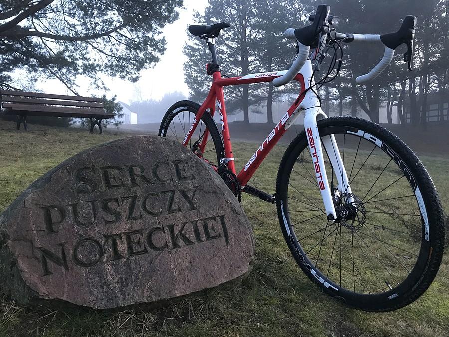 Serce Puszczy Noteckiej