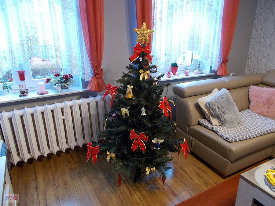 Choinka Dareckiego