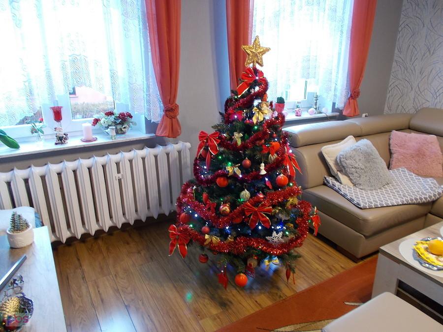 Choinka Dareckiego