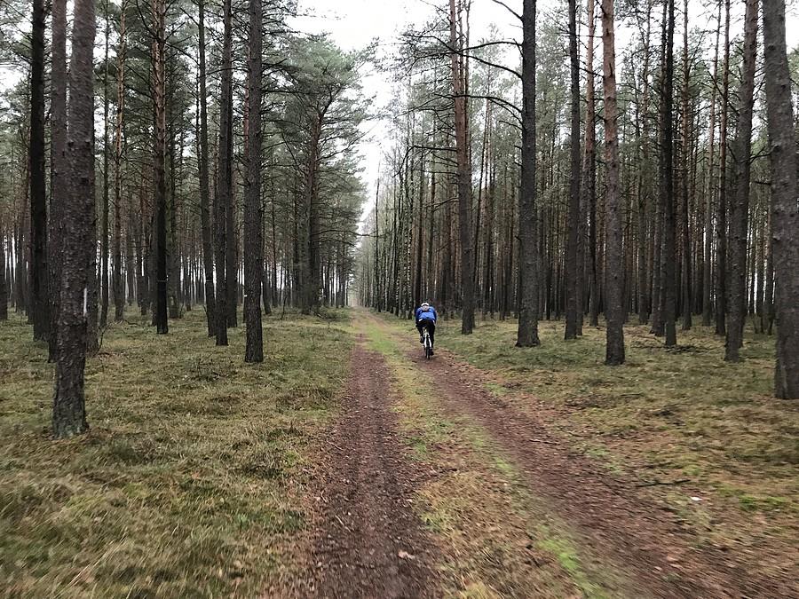leśne dukty w okolicy Walkowic