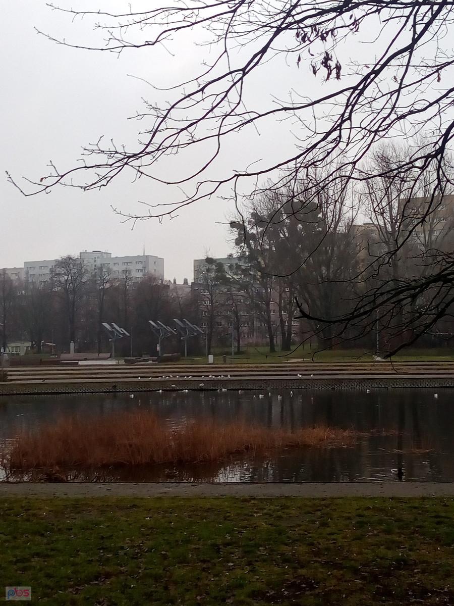 Staw w parku Szymańskiego
