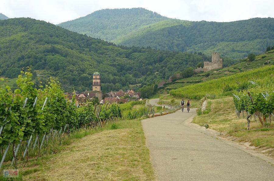 Kaysersberg z winnic