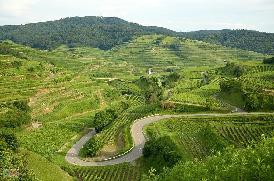 Kaiserstuhl, widok z Texaspass na Totenkopf