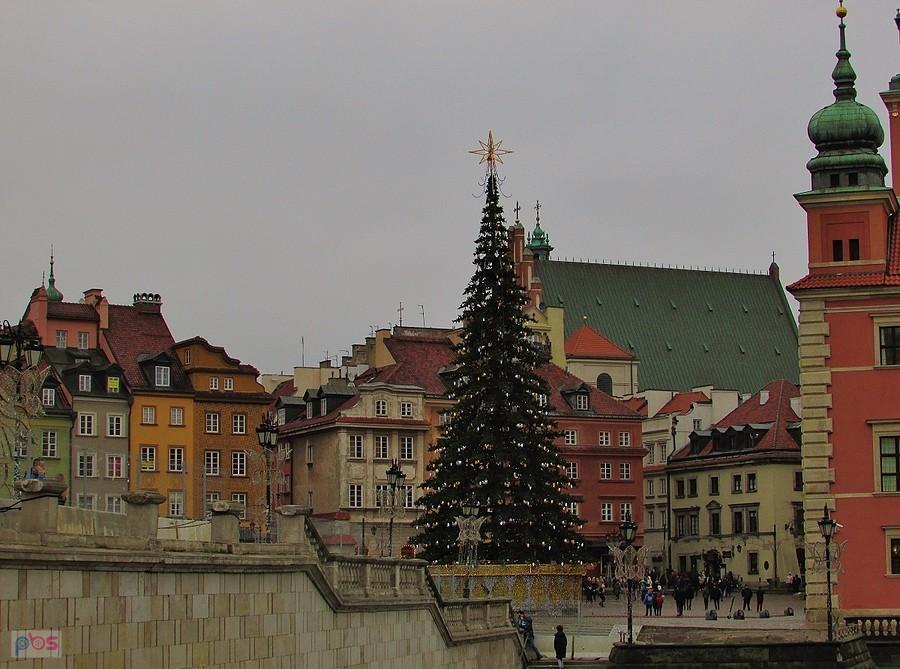 Choinka na placu Zamkowym