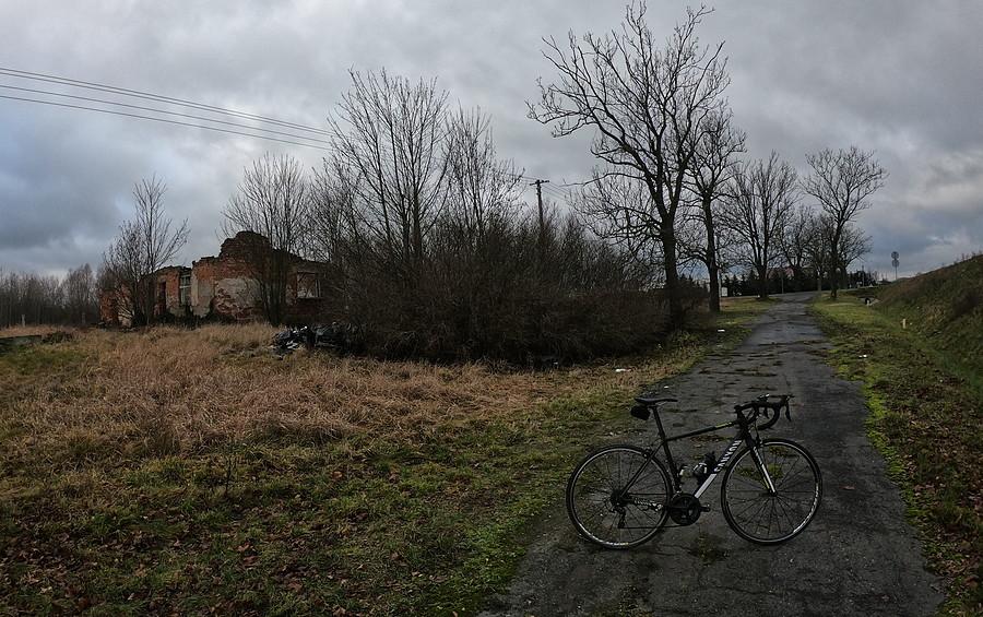 Kolejny stary i zarastający asfalt "odkryty" + ruiny domostwa (tuż przy A2)