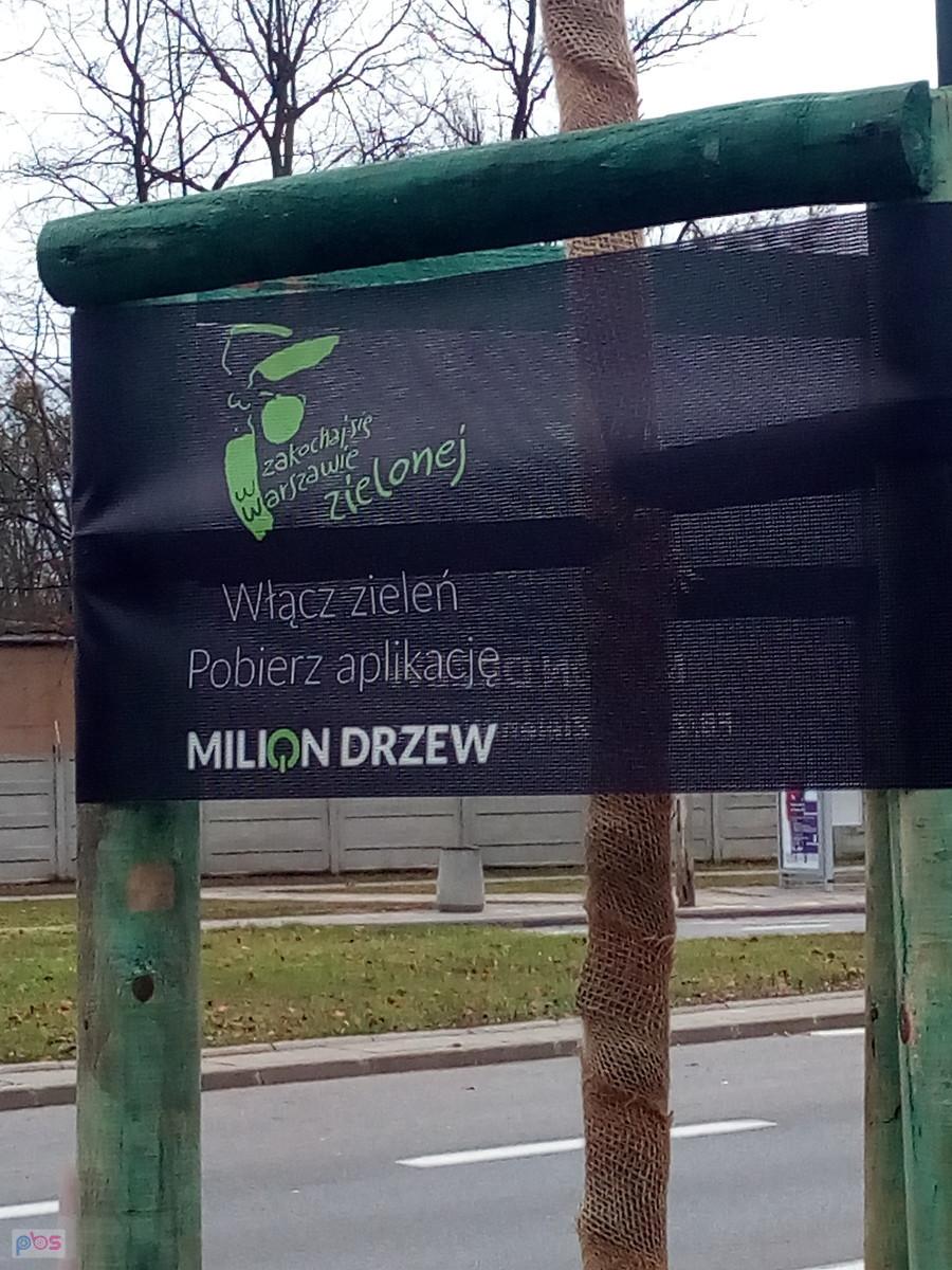 Milion drzew to akcja sadzenia drzew w Warszawie