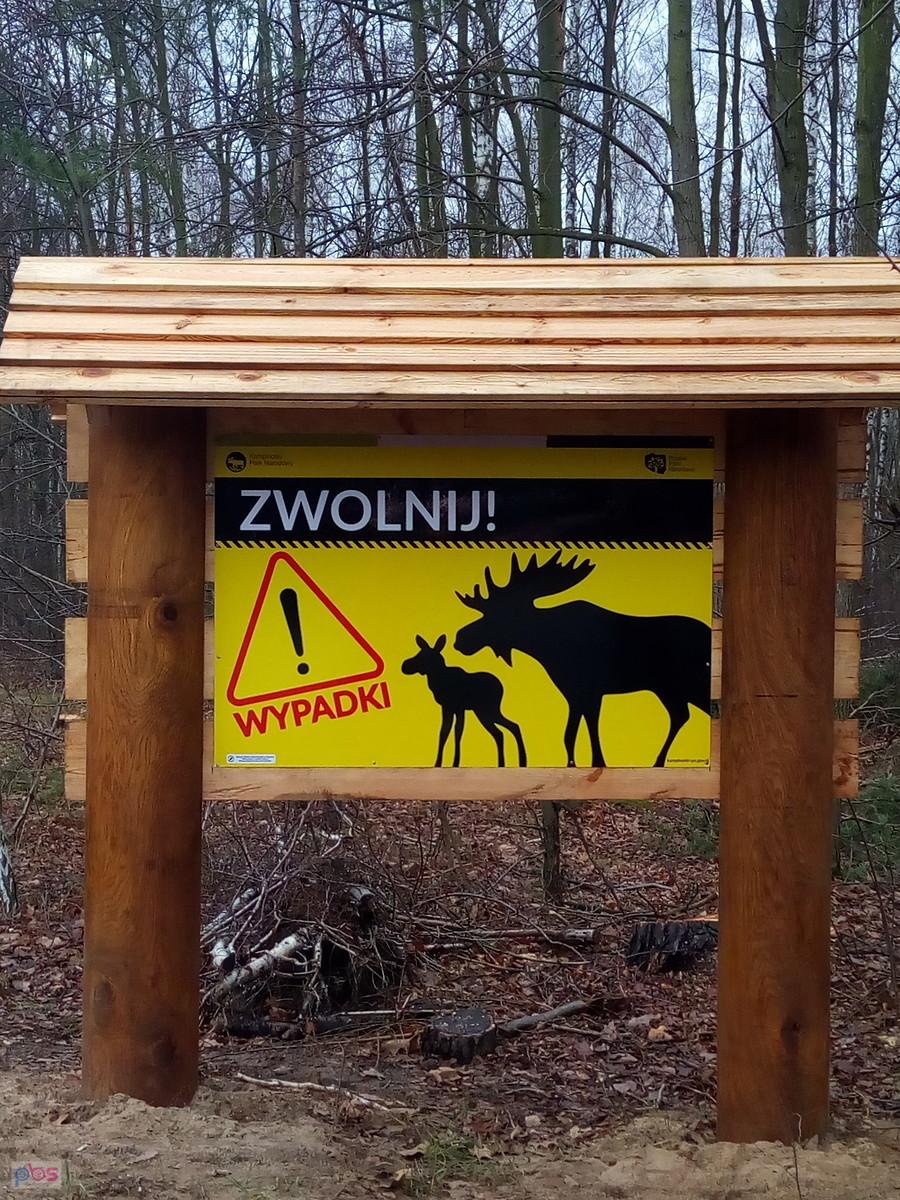 Nowe ostrzeżenie w puszczy