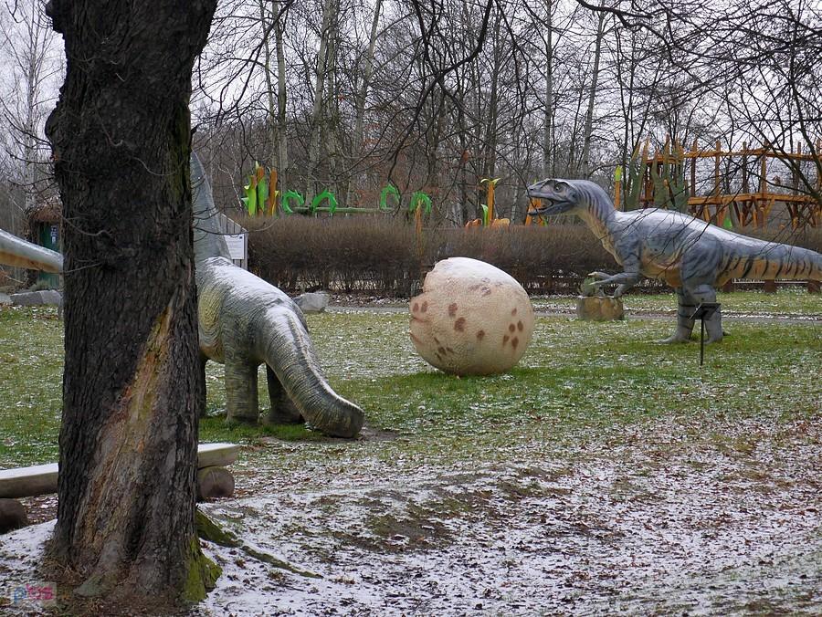 Polują na biegaczy?