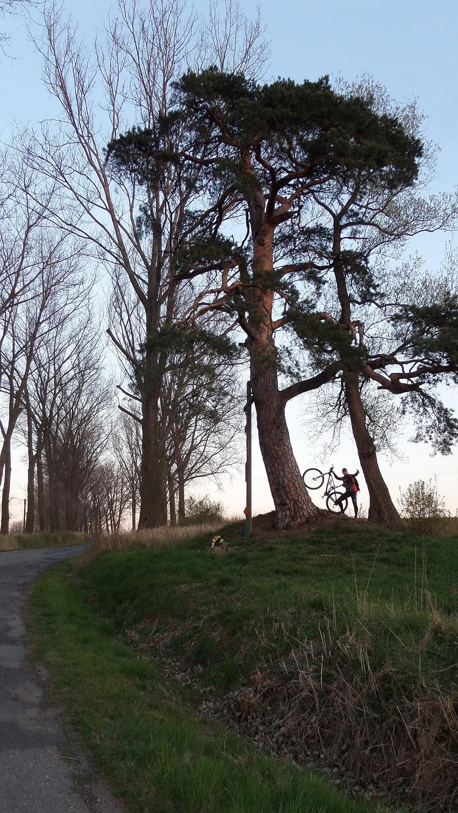 Korytów i do domciu