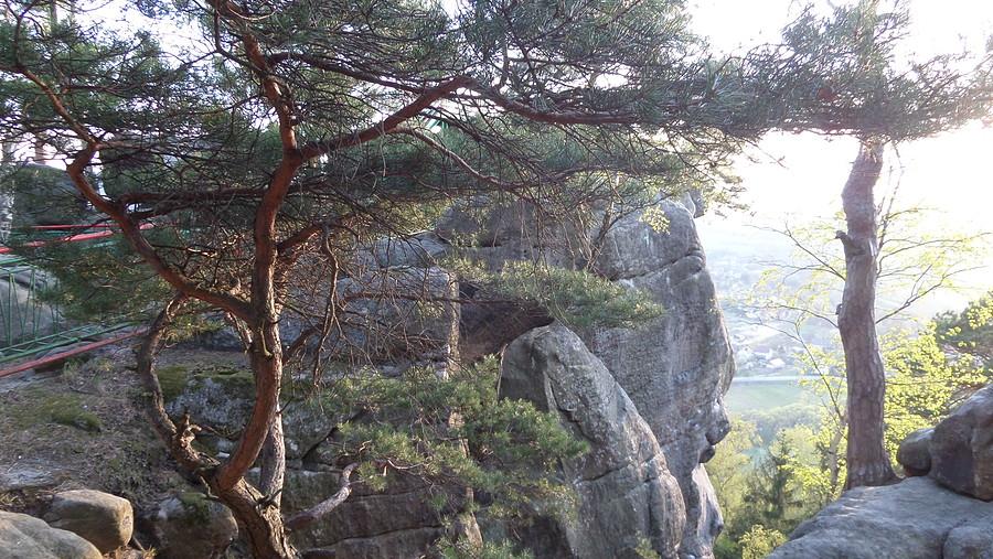 Widok na Szczytną