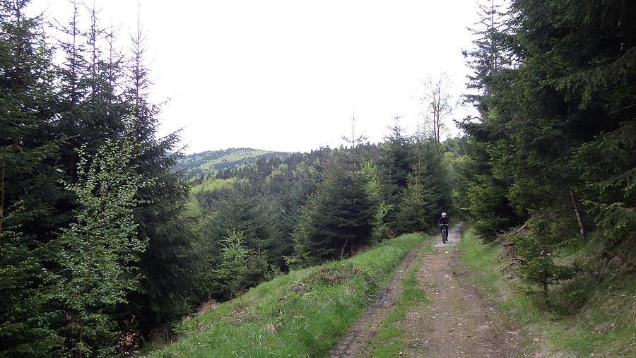 Podjazd na Chwalisław