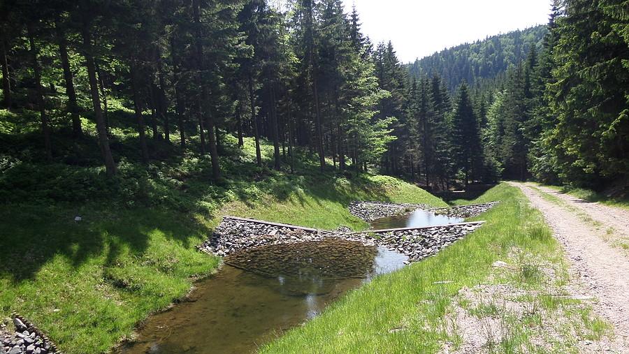 Podjazd na przełęcz Suchą