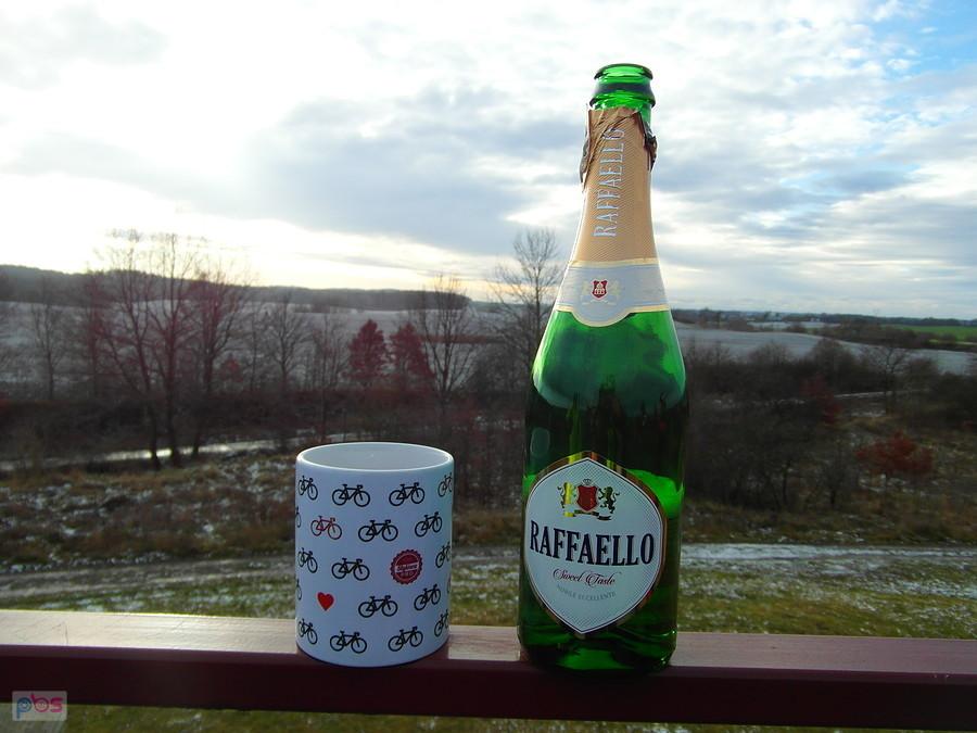 Raffaello i kubek z rowerami nad jeziorem