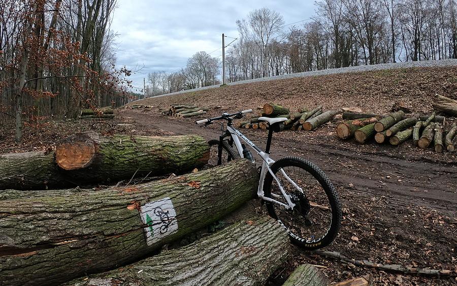 Kolejna wycinka (nad Rusałką). Nie oszczędzili oznakowania rowerowego :(