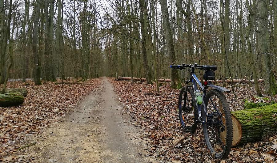 Teren lepszy jakościowo od starego asfaltu - Wielkopolski Park Narodowy