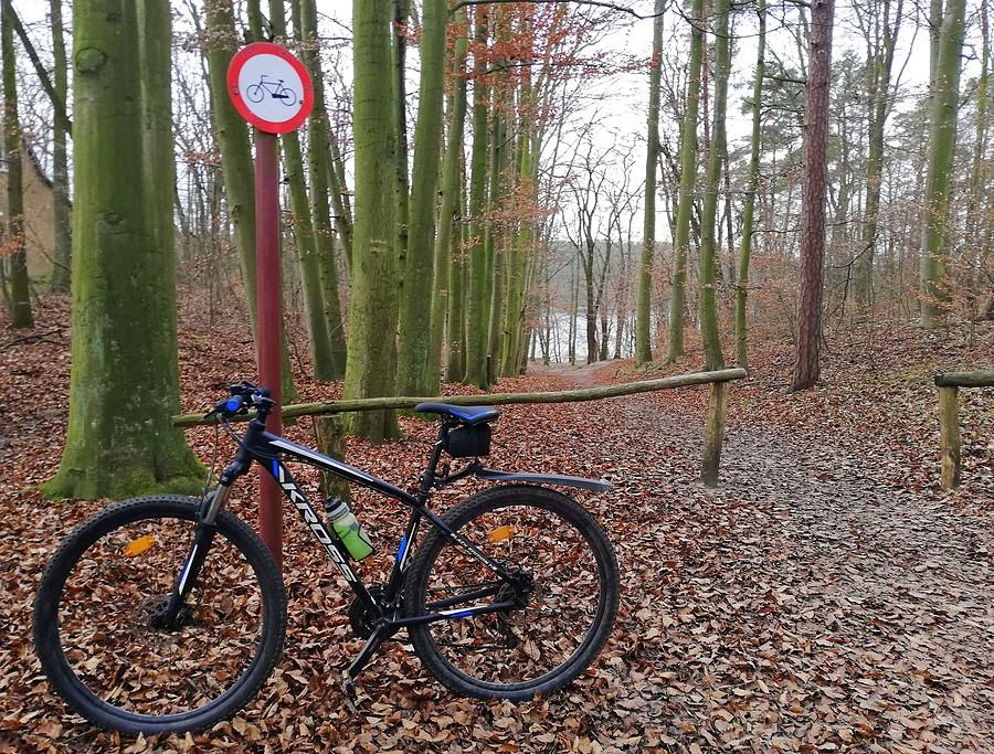 Z cyklu: kolejny abstrakcyjny żarcik :) - Wielkopolski Park Narodowy