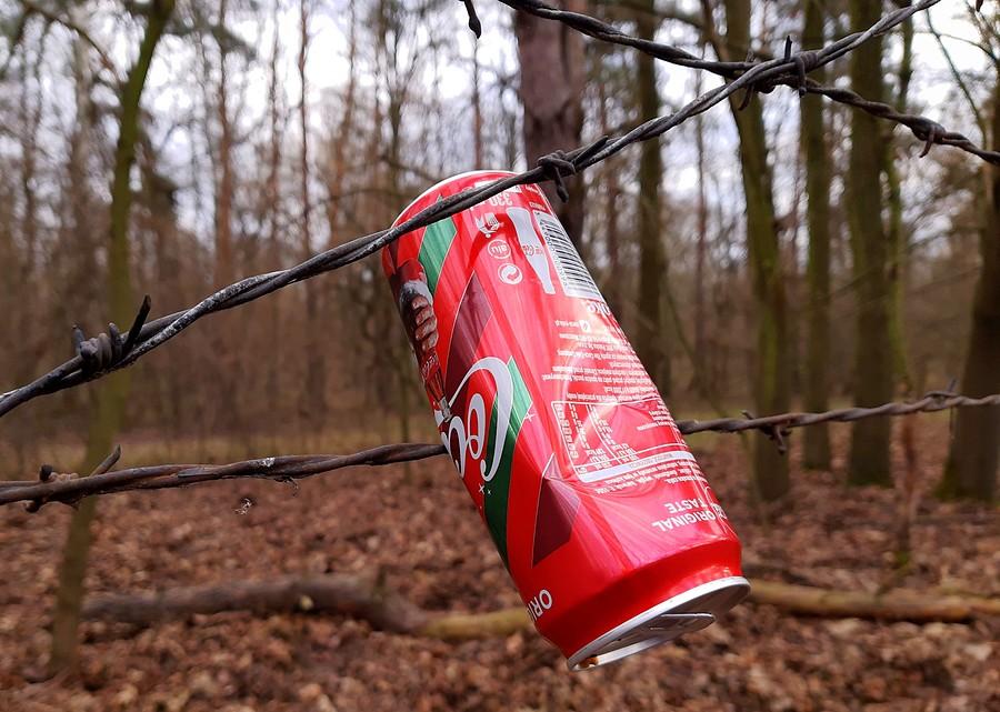 Prócz faktu usyfienia lasu, jakaś głębia w tym jest - Las Dębiński, Poznań