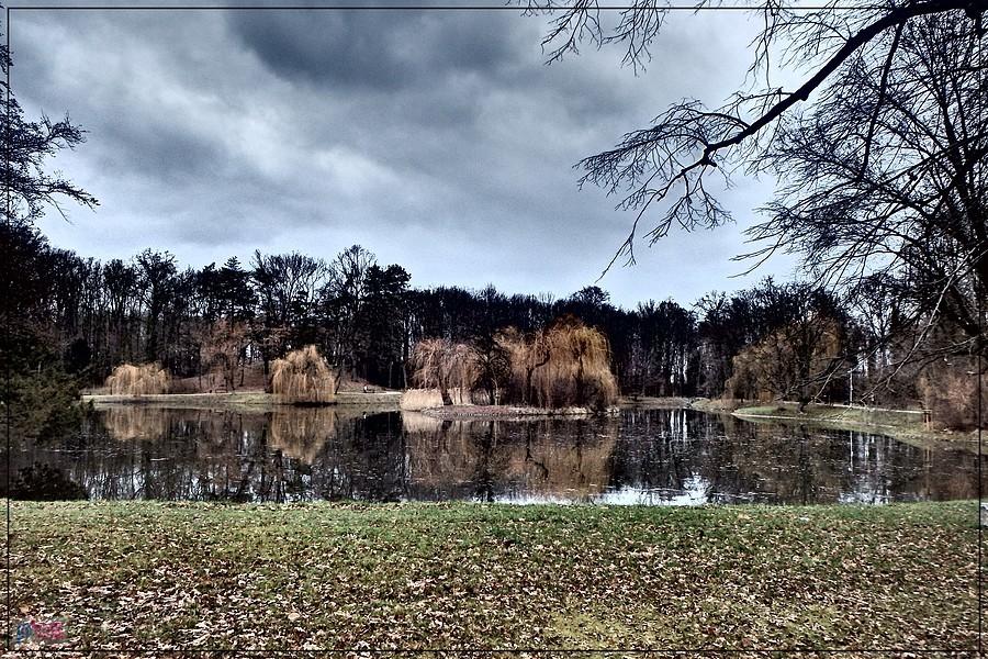 Staw w Parku Wolności