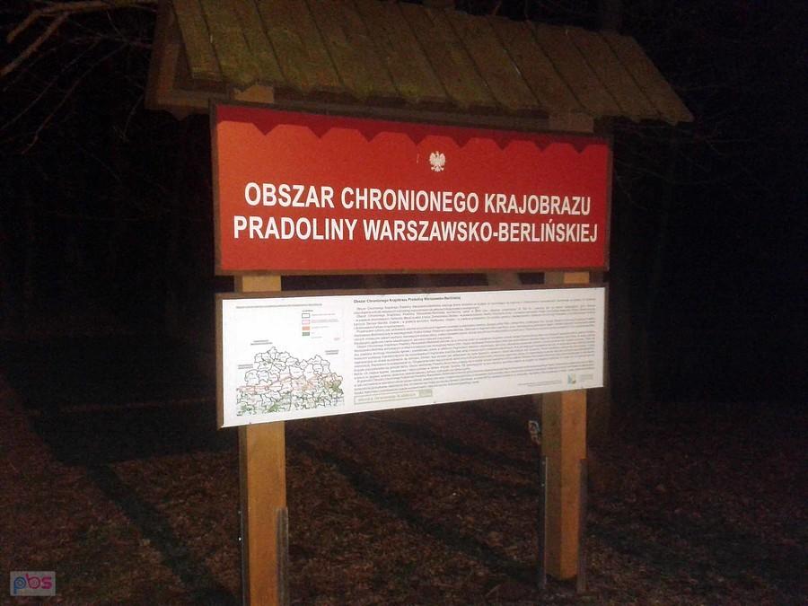 Na trasie pod Kutnem