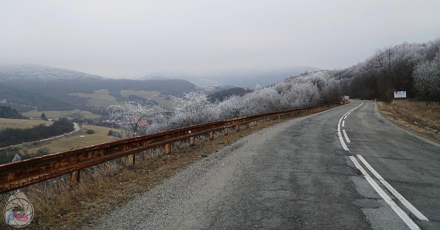 im wyżej w stronę sedla, tym więcej szronu na drzewach