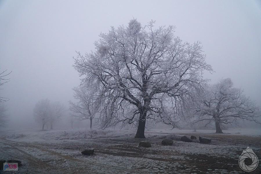 Góry Zemplińskie dość zimowe